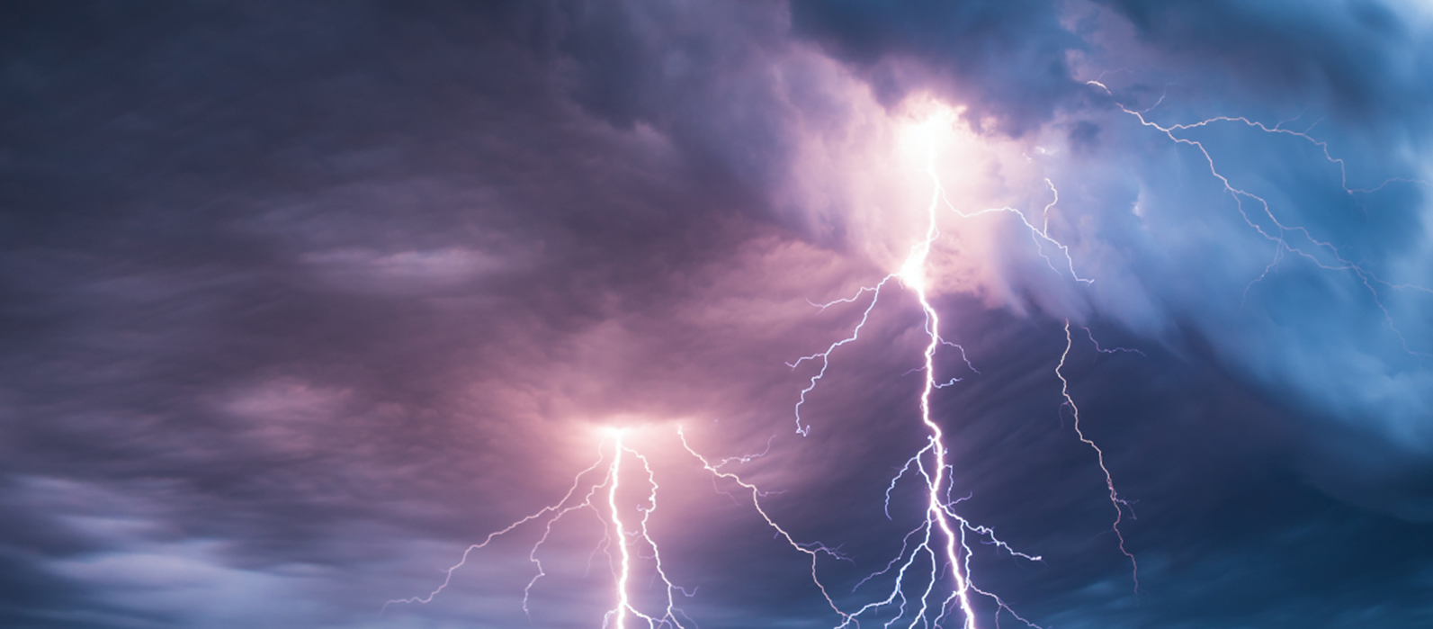 濟(jì)寧金楓園林工程有限公司